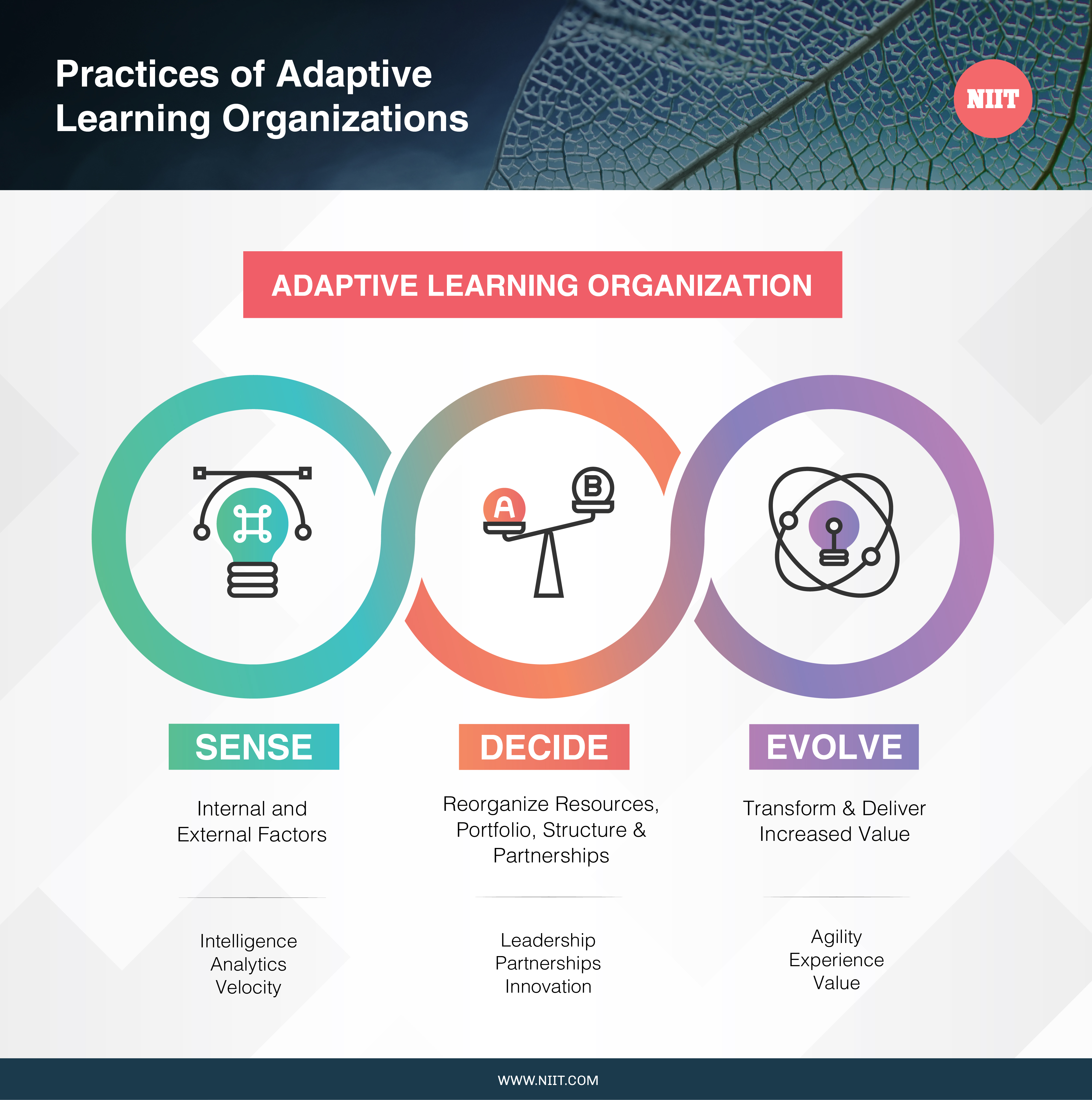 Adaptive Learning Organizations NIIT Research